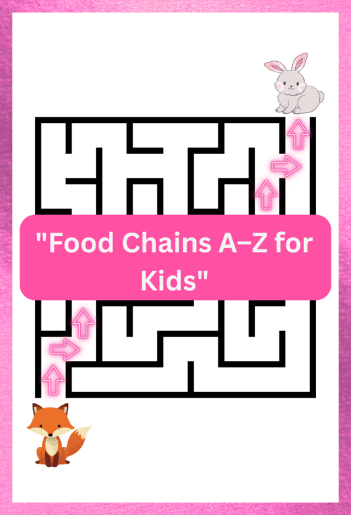 Printable Food Chain Flashcards for Kids – Learn Animal Food Chains with Fun Illustrations!
